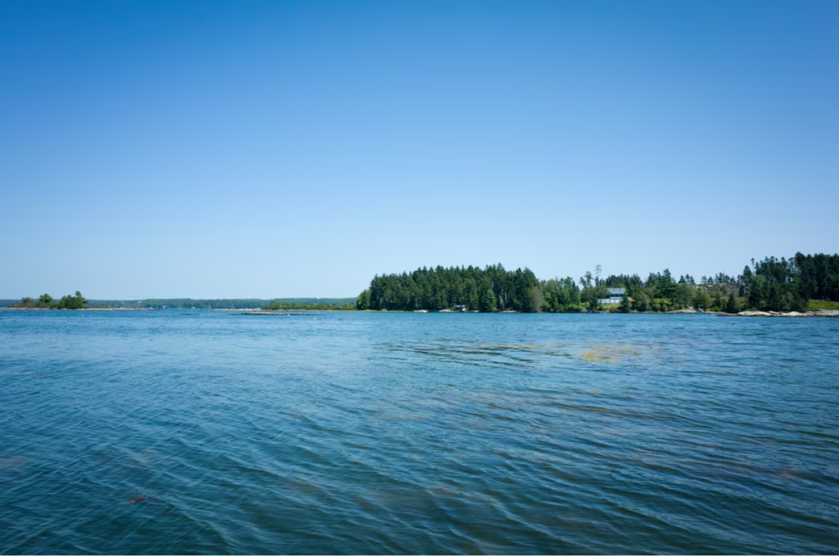 Kachamaranahalli Lake Development